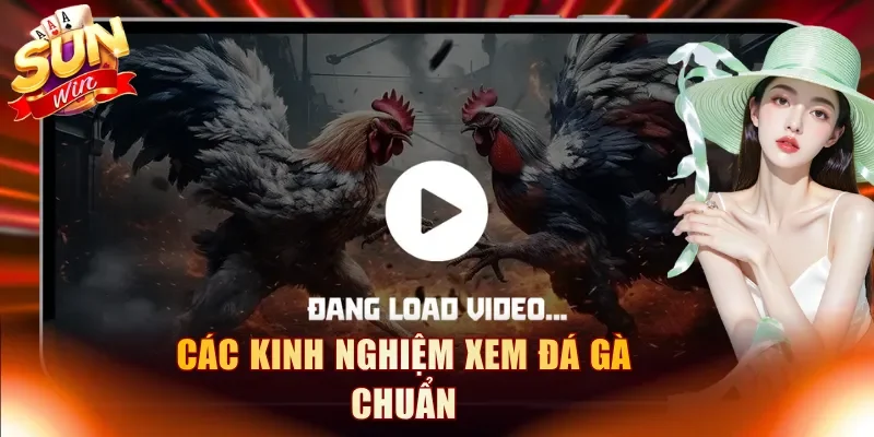 Các kinh nghiệm xem đá gà chuẩn