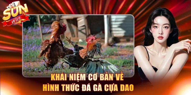 Khái niệm cơ bản về hình thức đá gà cựa dao